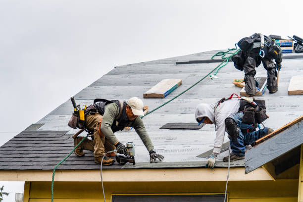 Professional Roofing technician working in Armington, IL
